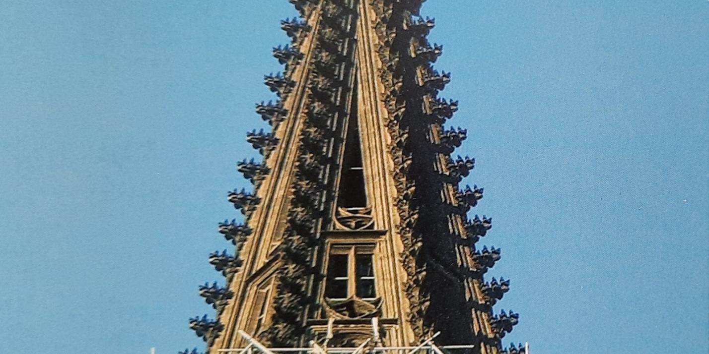 20201118_111311