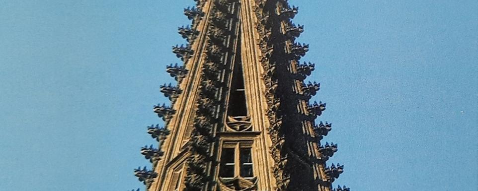 20201118_111311