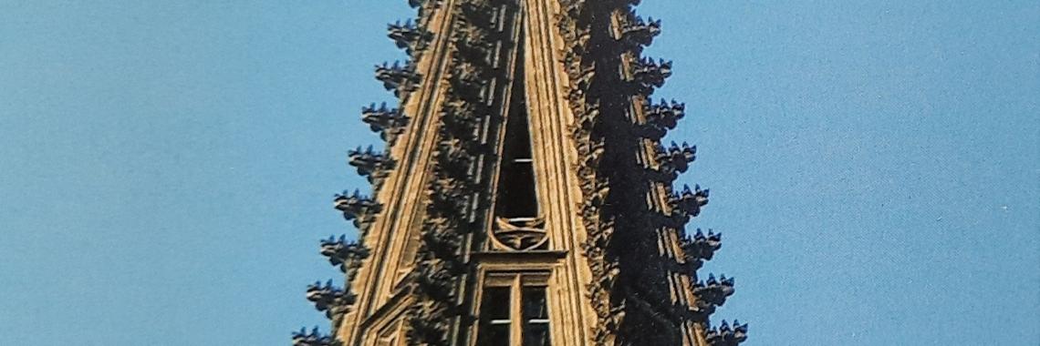 20201118_111311